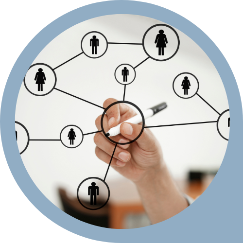 Organisation des ressources humaines